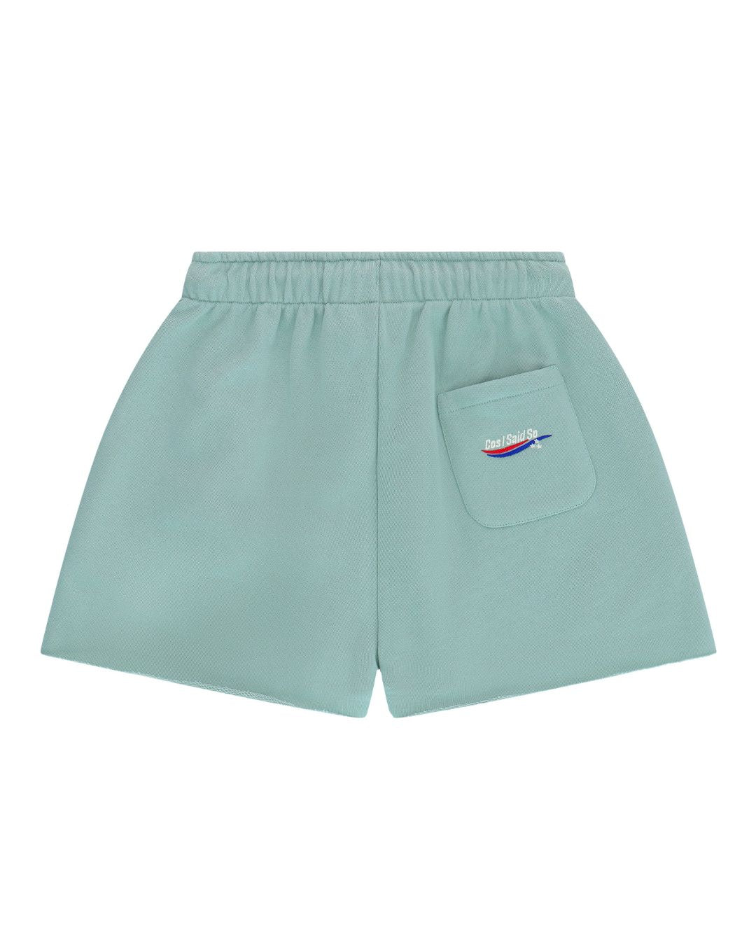 boys jog shorts by Cos I Said So in the color jadeite from the rear