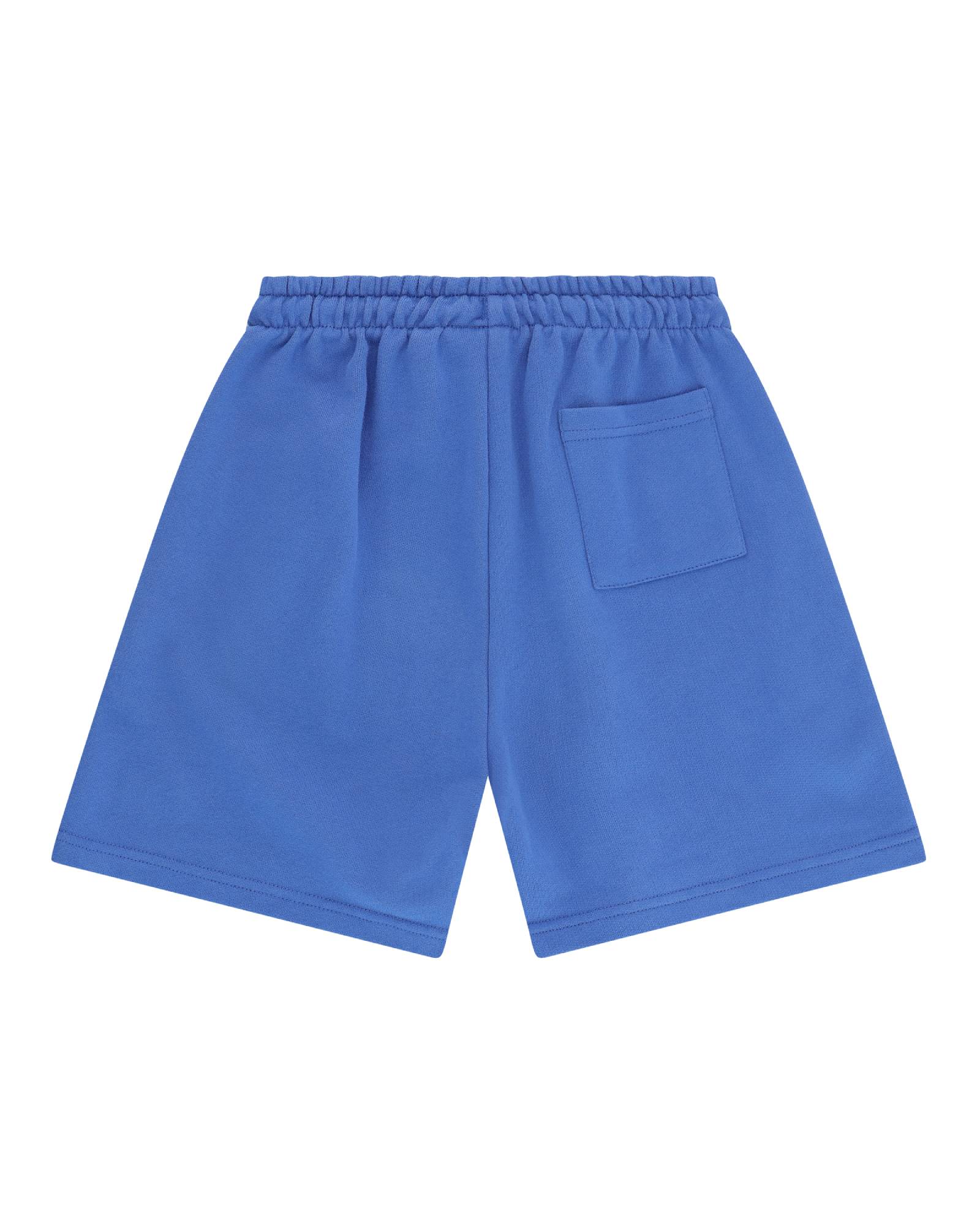 boys jog shorts by Cos I Said So in the color ultramarine blue from the rear