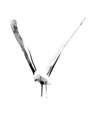 Seagull Freestyle art print  by Lieselot Cosijns, exclusively designed for Les Vedettes. Printed with premium ink on thick, high quality drawing paper. 
