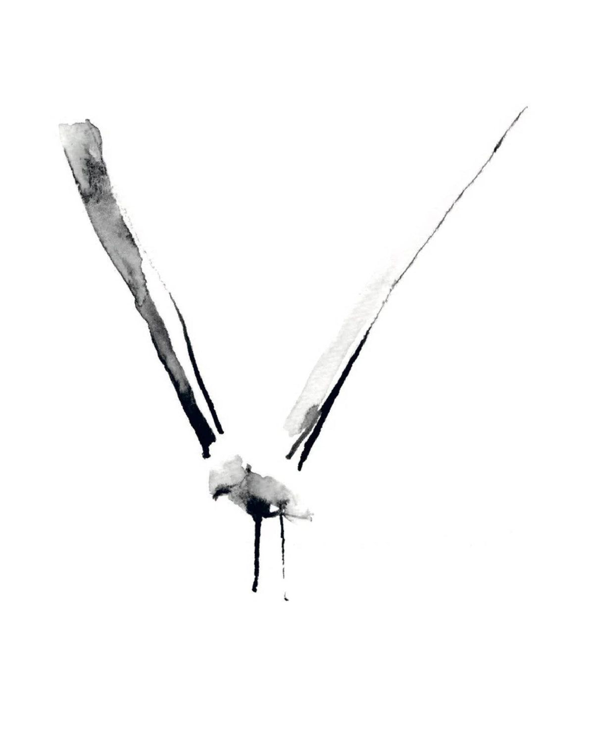 Seagull Freestyle art print  by Lieselot Cosijns, exclusively designed for Les Vedettes. Printed with premium ink on thick, high quality drawing paper. 