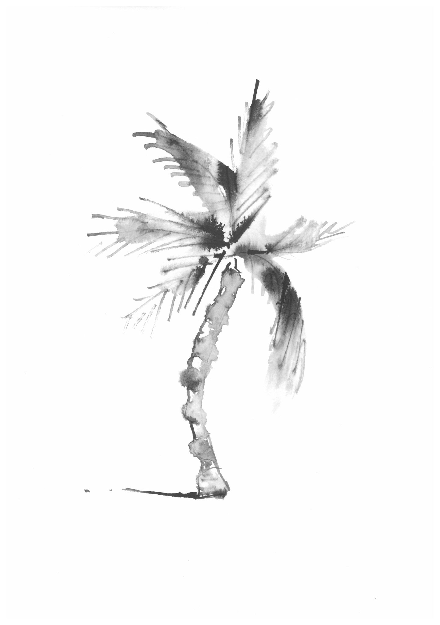 1 PALM * LES VEDETTES *