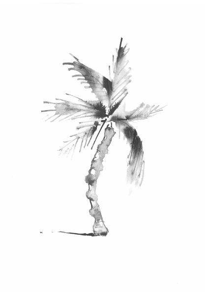 1 PALM * LES VEDETTES *