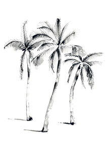 3 PALMS * LES VEDETTES *