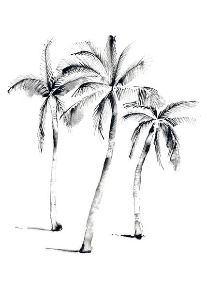 3 PALMS * LES VEDETTES *