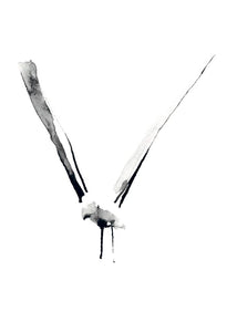 SEAGULL FREESTYLE * LES VEDETTES *