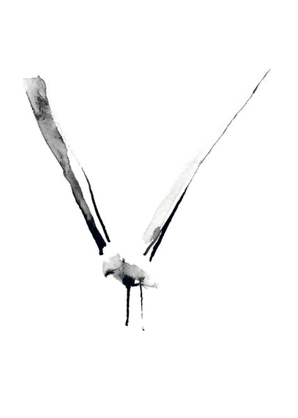 SEAGULL FREESTYLE * LES VEDETTES *