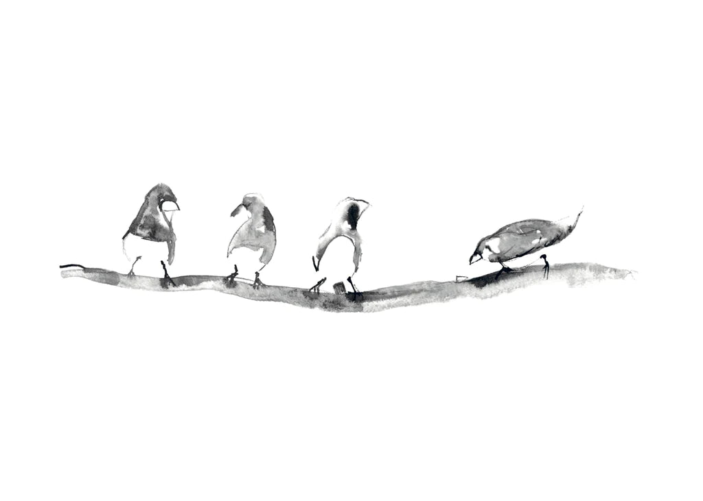 BIRDS ON A WIRE * LES VEDETTES *