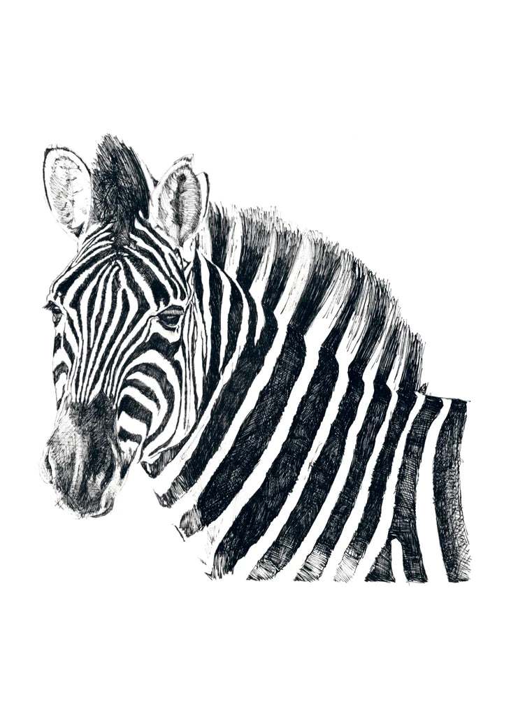 ZEN ZEBRA * LES VEDETTES *